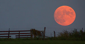 300px-Harvest_moon