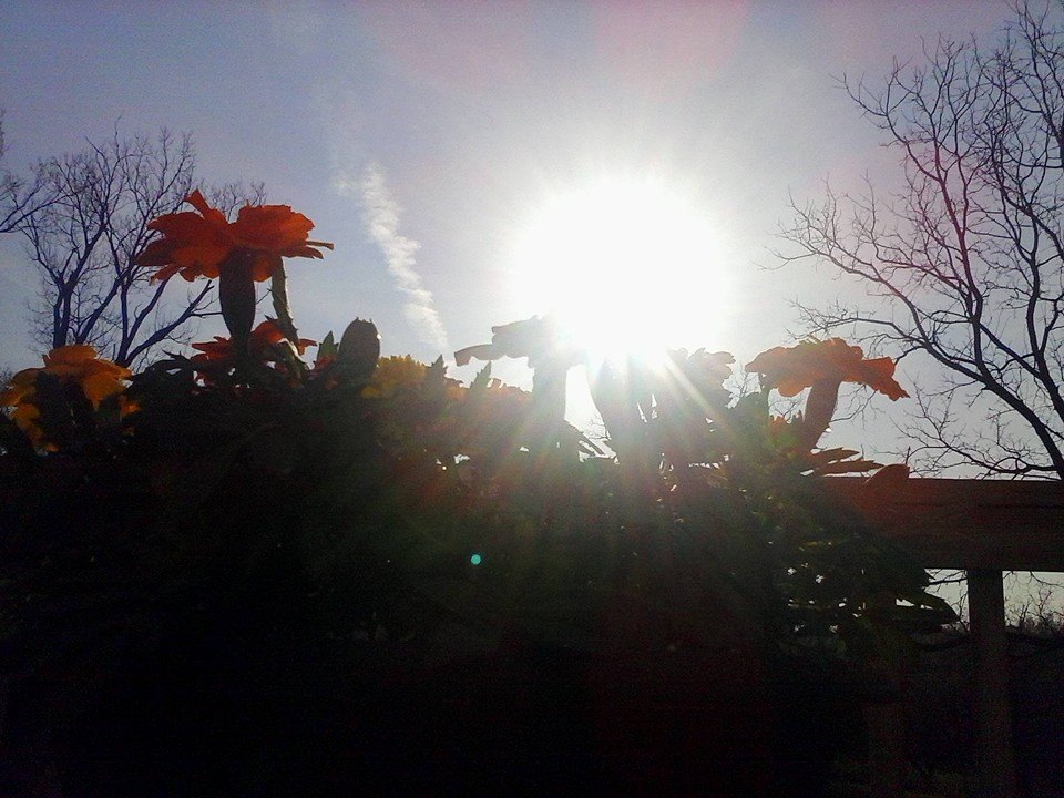 Foto por Samadhi Yaisha ©2013