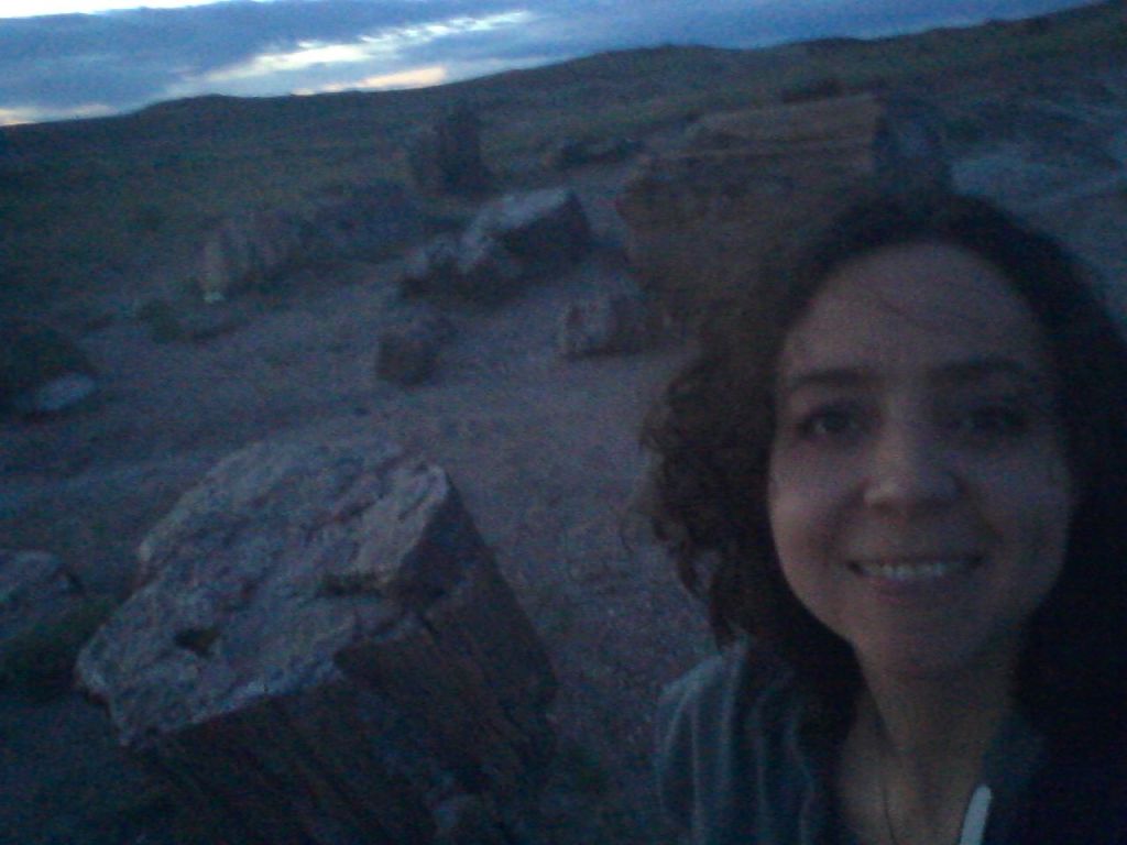 Anochecer en el Bosque Petrificado, mayo de 2015. Foto por Yaisha Vargas, ©2015