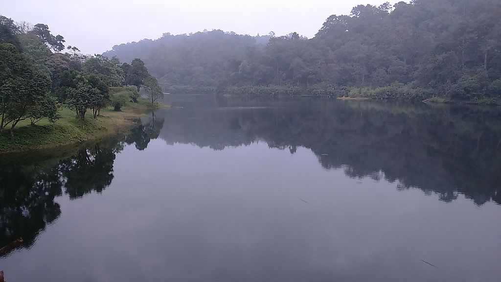 Landscape_of_kerala_11