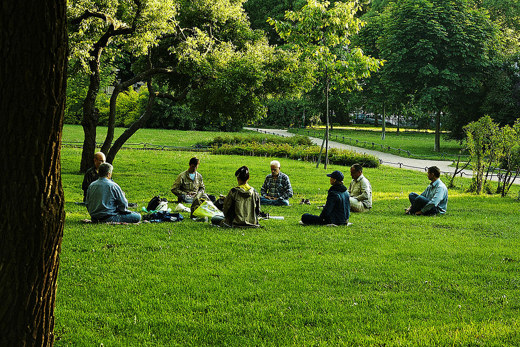 A_group_meditation_session_in_a_park_in_a_yoga_asana