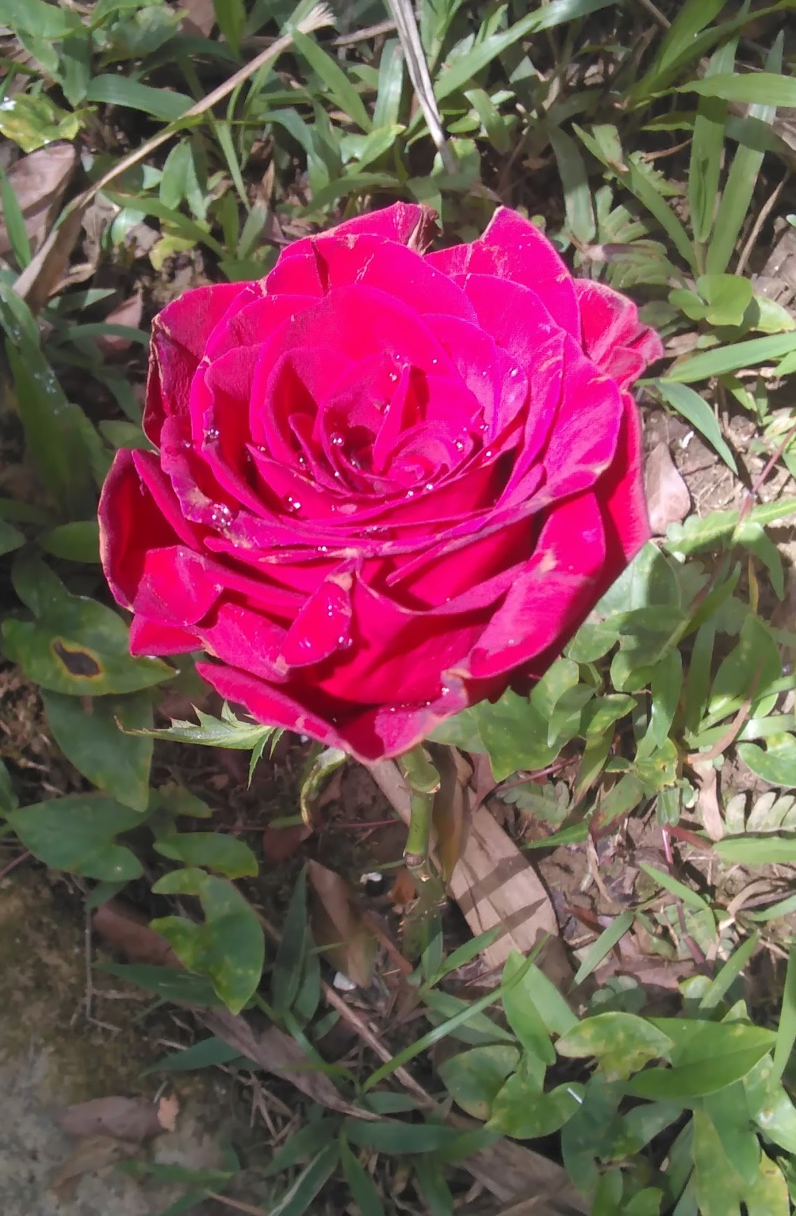 Una joya contemplativa